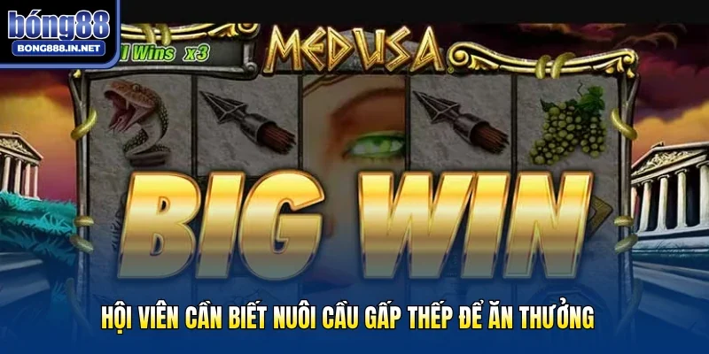 Hội viên cần biết nuôi cầu gấp thếp để ăn thưởng