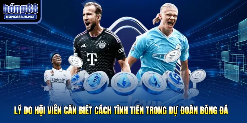 Lý do hội viên cần biết cách tính tiền trong dự đoán bóng đá