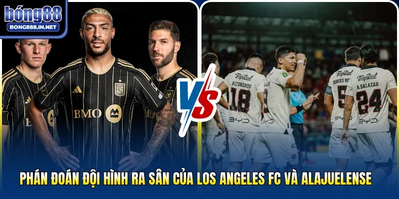 Phán đoán đội hình ra sân của Los Angeles FC và Alajuelense