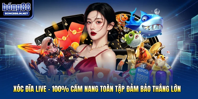 Xóc Đĩa Live - 100% Cẩm Nang Toàn Tập Đảm Bảo Thắng Lớn
